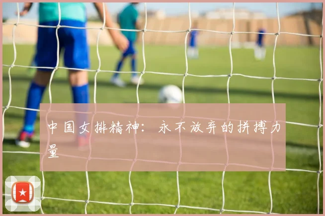 中国女排精神:永不放弃的拼搏力量
