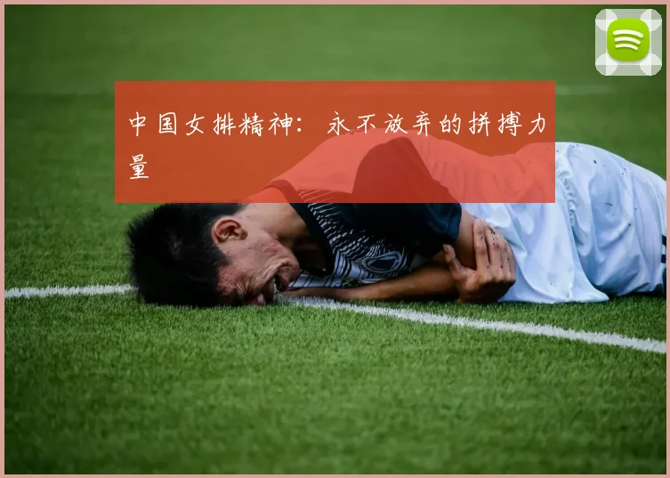中国女排精神:永不放弃的拼搏力量