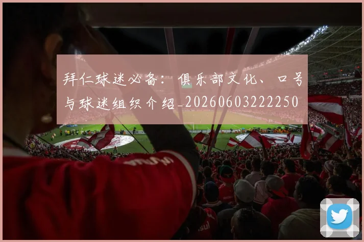 拜仁球迷必备：俱乐部文化、口号与球迷组织介绍_20260603222250